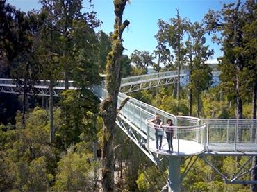 Westcoast Treetop Walk & Caf&eacute;